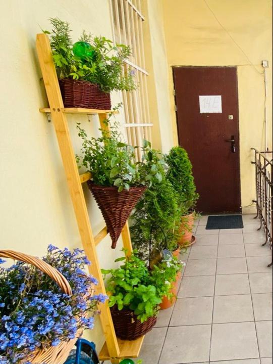 Appartement Miodowa Kazimierz